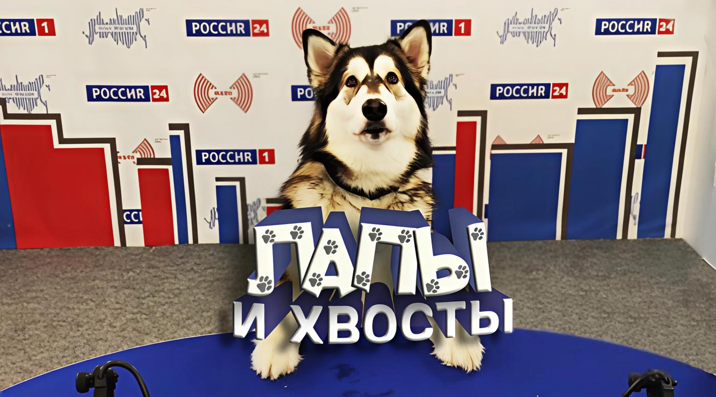 &quot;Лапы и хвосты&quot;